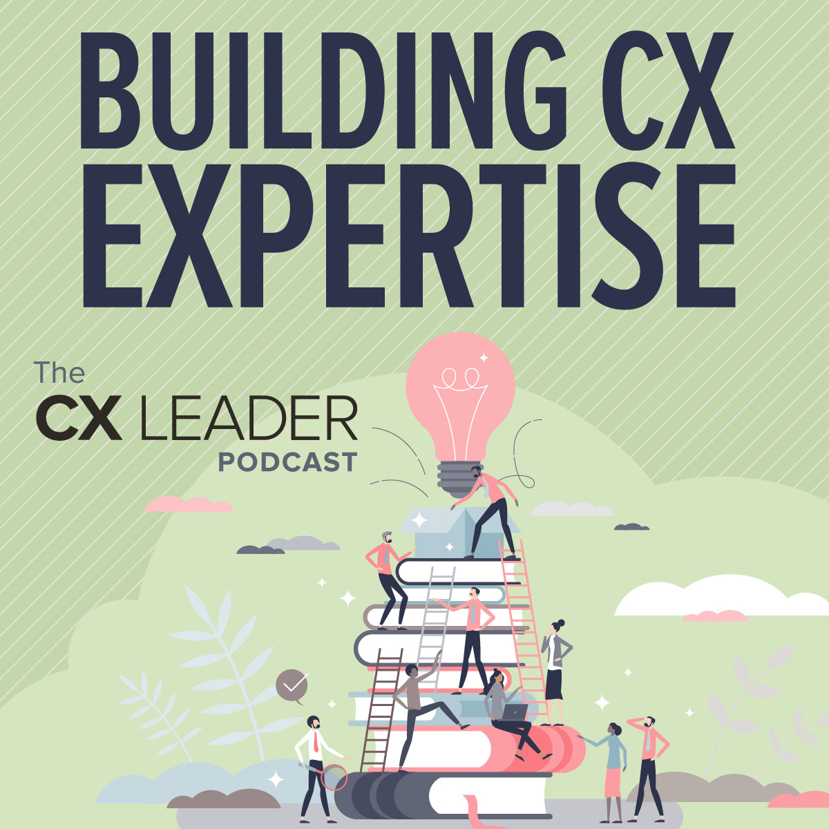 Building CX Expertise